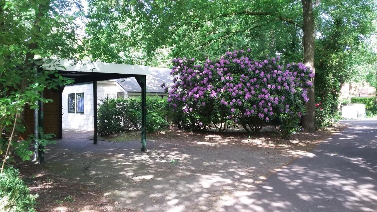 Vechtdalhuisje 16 ออมเมิน ภายนอก รูปภาพ