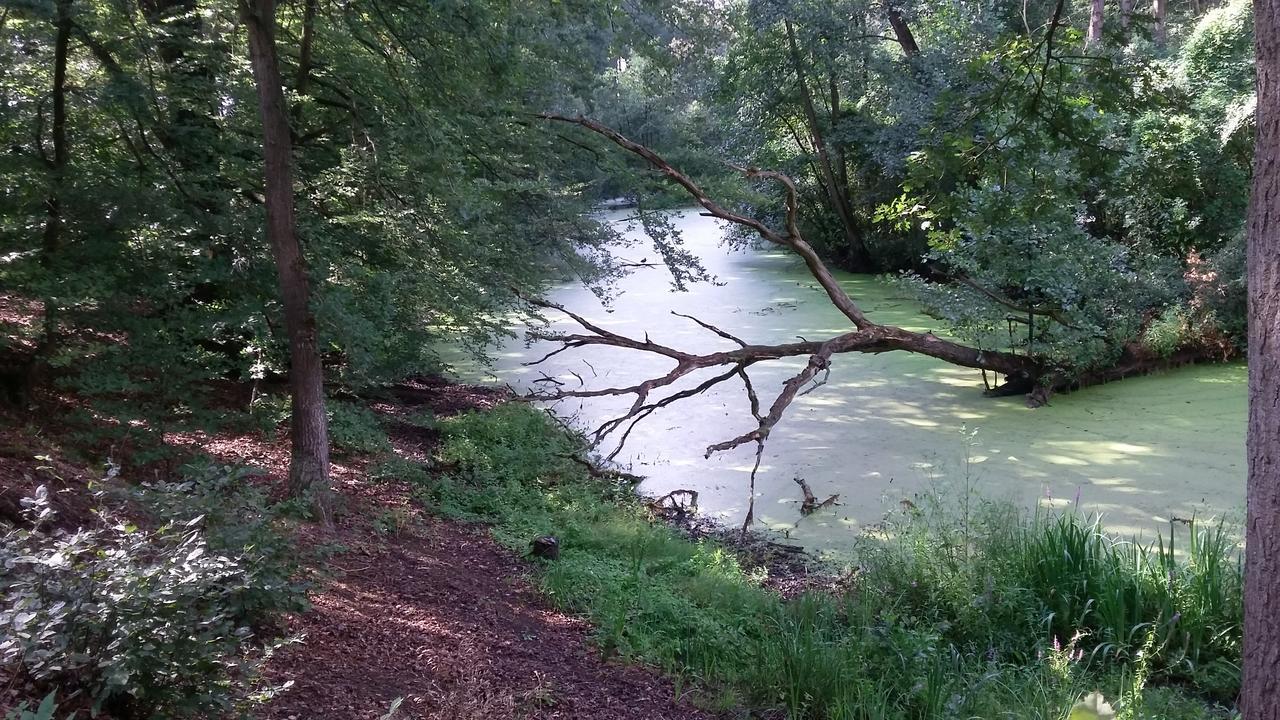 Vechtdalhuisje 16 ออมเมิน ภายนอก รูปภาพ